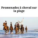 Poppies Holidays - Luxury Seaside Retreat Private Garden Baby-foot 14 Guests Evg Groups Xxl Riva Bella D-day Beaches Villa Ouistreham
