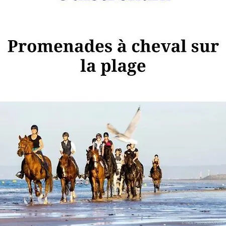 Villa Poppies Holidays - Noel Et Nouvel An Villa Avec Spa Privatif Plage Ouistreham 14 Pers Baby-Foot Evg Groups Xxl Ouistreham Riva Bella D-Day Beaches ヴィラ ウイストルアム