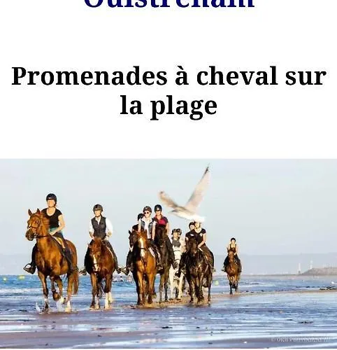 De Luxe Familiale Et Poppies Jardin Babyfoot Flipper 300m Riva Bella Familles Groupes Evg Evjf Villa Ouistreham